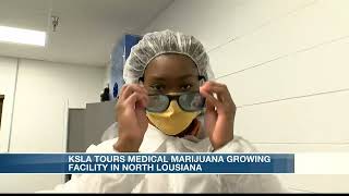 KSLA tours new medical marijuana growing facility in Ruston