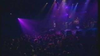 Salad - On A Leash (Part 5)