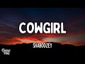 Shaboozey Cowgirl Lyrics
