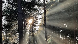 Navigating the Shadows