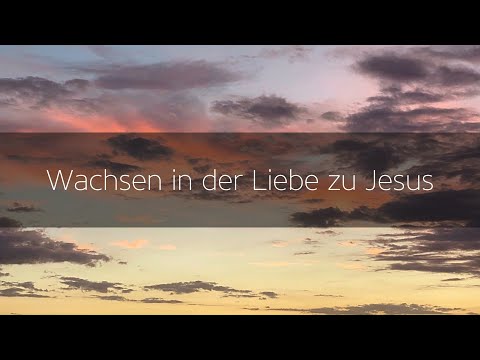 Videovorschau