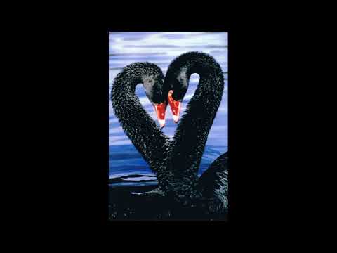 Ameli Paul live at Azulik 2019