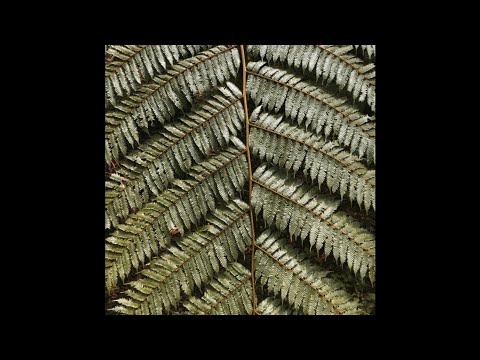 Jiony mixtape for Leveldva