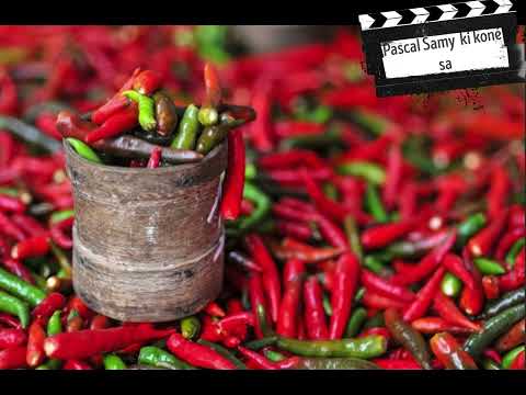 Pascal Samy  ki koné sa