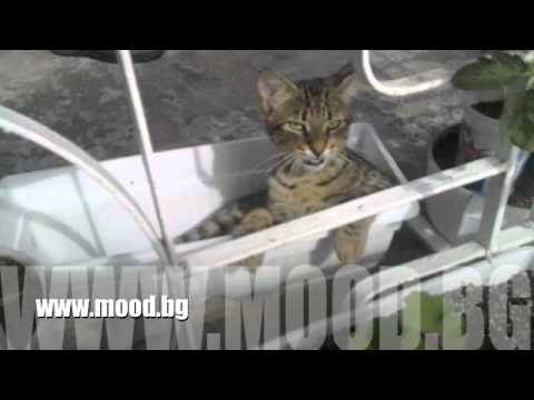 Empty Love In One Street..