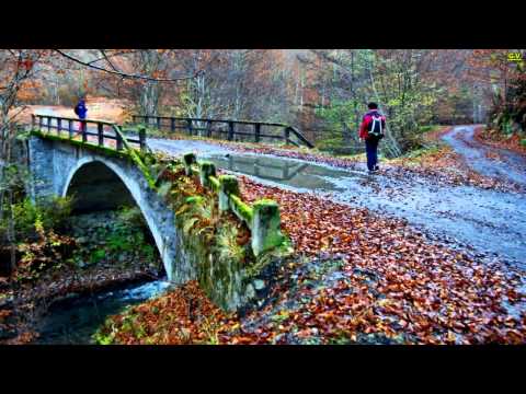 Imagini Câineni Grebleşti 2