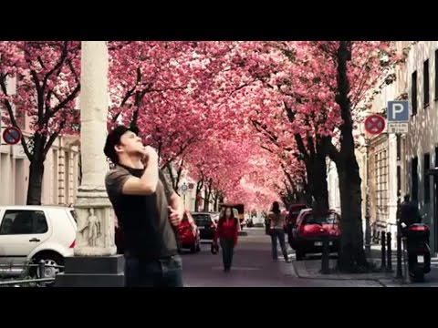 Blümchenknicker - Lebenszeichen ("Treibholz" - Release-Teaser, Kirschblüte Altstadt Bonn 2014)