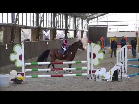 Malu (8) und Monte - Pony-A* in Limburg am 07.10.2017