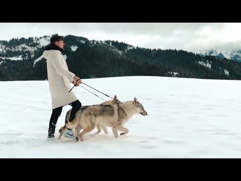 Leonis – Allô (Clip Officiel)