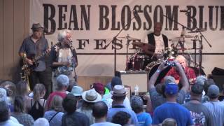 Elvin Bishop ~ Old School ~ Bean Blossom Blues Fest 2016