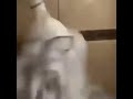 Black Guy Pouring Milk On Himself