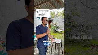 Download lagu IZIN TANYA OM SETINGAN DI LAPANGAN MURAI BATU RAJA TEMBAK GIMANA 🔥‼️ #SOLDOUT150JUTA #muraibatu mp3