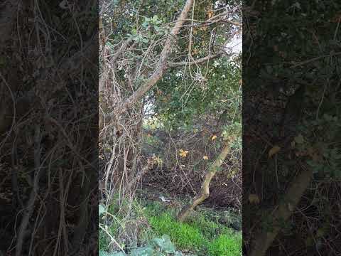 22 de septiembre de 2025