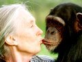 Monkey Business With Jane Goodall