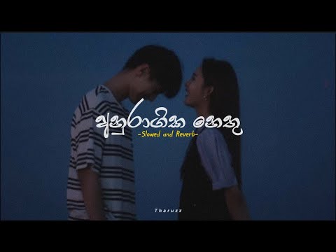 අනුරාගික නෙතු | Anuragika Nethu - Maharaja Kansa Theme Song (Slowed and Reverb)