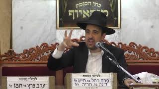 הרב מאיר אליהו | פרשת האזינו | מוסאיוף - ה'תשפ"ב