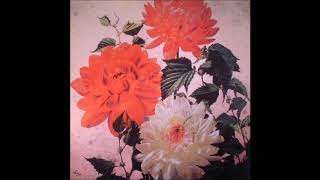 Godspeed You! Black Emperor - Brownshirts Drown in Glaciers&#39; Rise (Full fan-made compilation album)