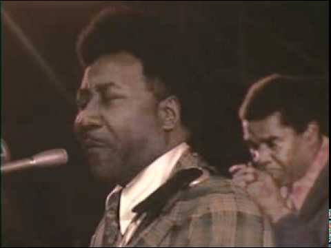 Muddy Waters ~ Long distance phone call