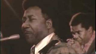 Muddy Waters ~ Long distance phone call