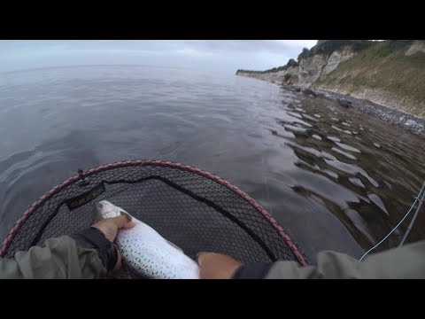 Tidligt på revet lønner sig, 1 havørred og et par horn