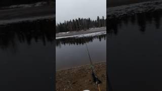 Рыбалка в конаково на сбросе