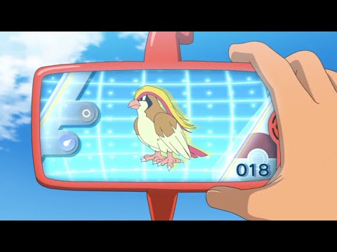 Pidgey, Pidgeotto, and Pidgeot Pokédex Entries..wmv
