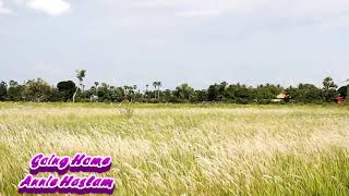 영국 아트락 그룹 Renaissance의  보컬 Annie Haslam ~ Going Home