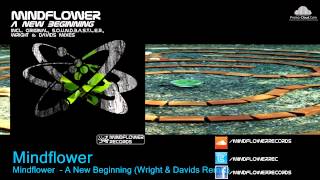 Mindflower  - A New Beginning (Wright & Davids Remix)