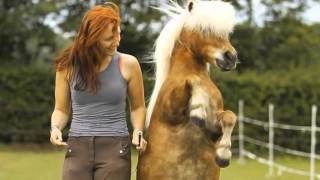 NINO BRAVO - PARA DARTE MI CORAZÓN (LADY AND THE HORSE)