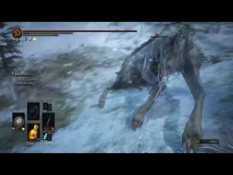 Dark Souls 3 - (DLC Spoilers) Wolf Rage outside of boss battle