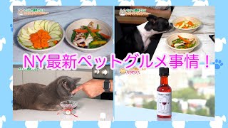 「NY最新ペットグルメ事情！」NYではペットも豪華な食事を食べワインを嗜むなど 人間さながらのグルメを楽しんでいます！
