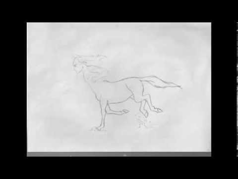 Centaur Deviantart