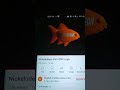 Nickelodeon S Fish Logo