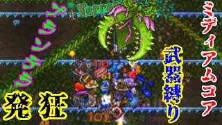 【Terraria】ミディアムコアと武器縛りで死ぬテラリア【マルチ実況】part14