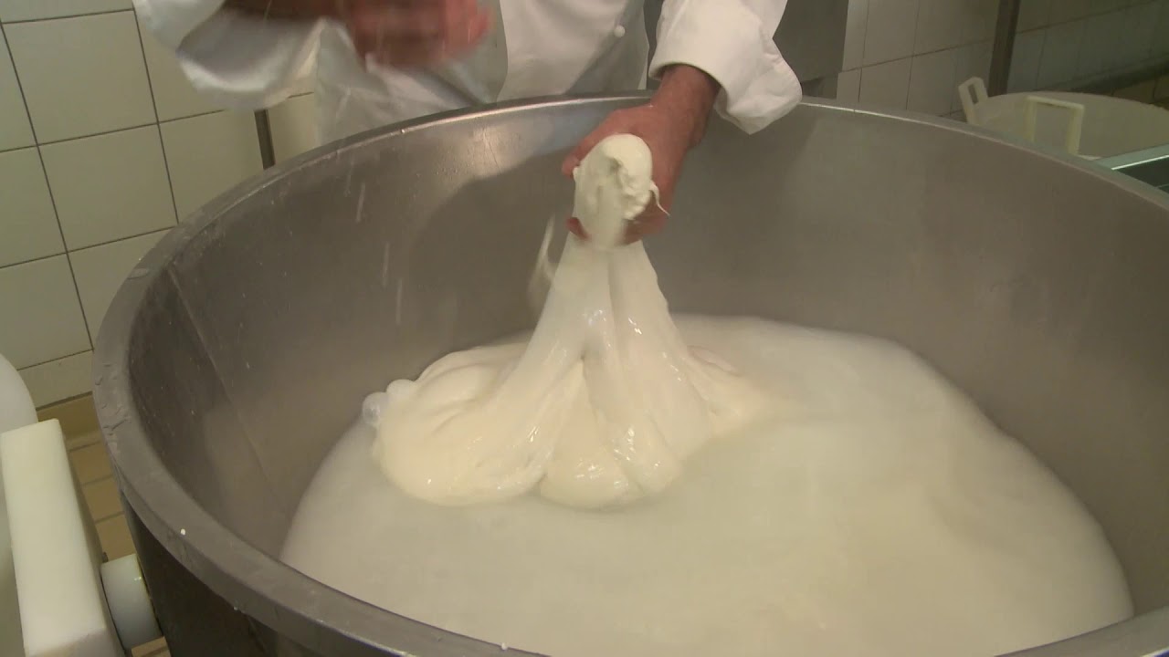 Watch Now Il casaro Antonio Ventre illustra la lavorazione della mozzarella di bufala (Raccontare l'Ecomuseo) Il casaro Antonio Ventre illustra la lavorazione della mozzarella di bufala (Raccontare l'Ecomuseo)