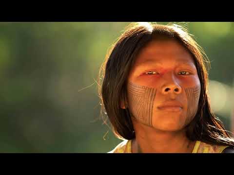 Tropicalia - Caetano Veloso | Vídeo Clipe |