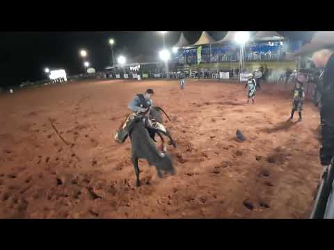 Montaria em Touros na Exposhow de Torixoreu de 2025 sexta-feira dia 08-08-2025 partr ll