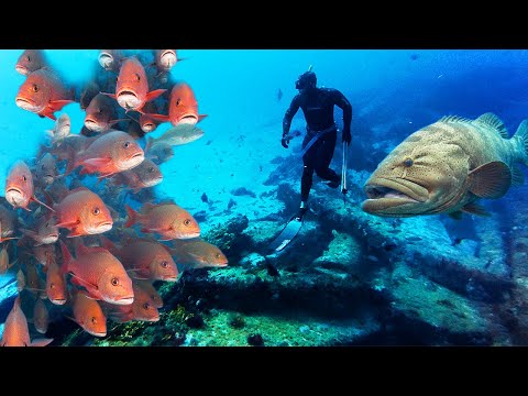 WE FOUND THE FISH! Local Spearfishing in Crystal Clear FLORIDA Waters! Catch n Cook