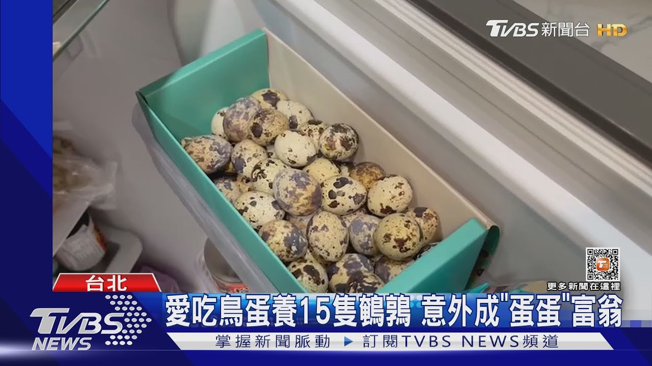 家家出現「養雞場」！缺蛋荒過　恐現棄養潮