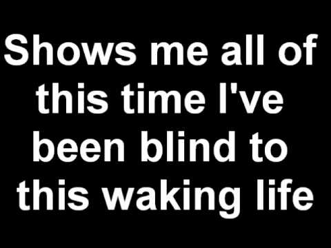 Schuyler Fisk - Waking Life (Lyrics)