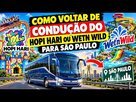 Como voltar de condução do HOPI HARI ou WETN WILD PARA SÃO PAULO 