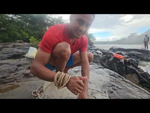 HOJE FOI FARTURA DE PEIXE NA CACHOEIRA DO URUBU PIAUÍ 😮 