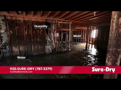 Sure-Dry Basement Waterproofing Commercial