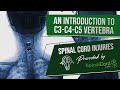 C3 C4 C5 Definitions Cervical Spinal Cord Injury Symptoms Causes Treatments And Recovery