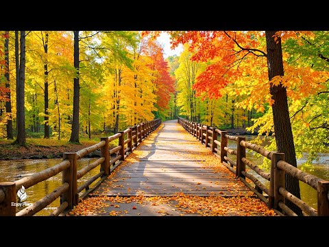 Beautiful Relaxing Music 🍁 Autumn Melodies for Stress Relief & Healing