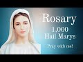 Praying The Rosary Of The 1000 Hail Marys