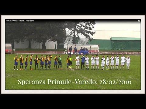 ALLIEVI  REG 99. SPERANZA PRIMULE-VAREDO F B C. 1-3  DEL 28-02 -2016