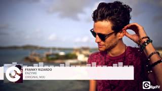 FRANKY RIZARDO - Enzyme (Original Mix)