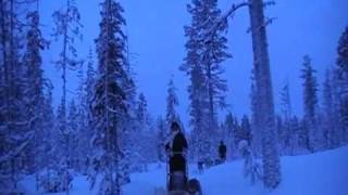 preview picture of video 'Lapland husky tocht 10km door Paul,Maureen en Jesper'