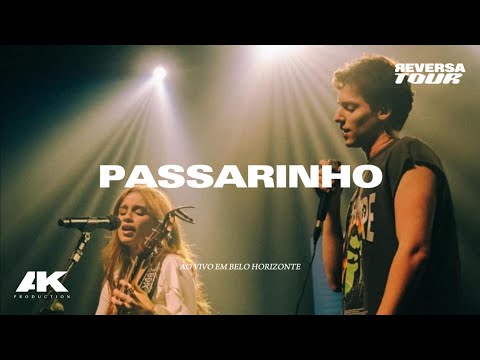 Carol Biazin, Gabriel Froede - passarinho (Ao Vivo Em Belo Horizonte) REVERSA TOUR [2K Quality]